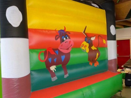 Springkussen Koekussen